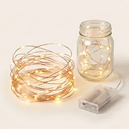 Warm white battery fairy lights