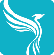 Your Company Formations logo